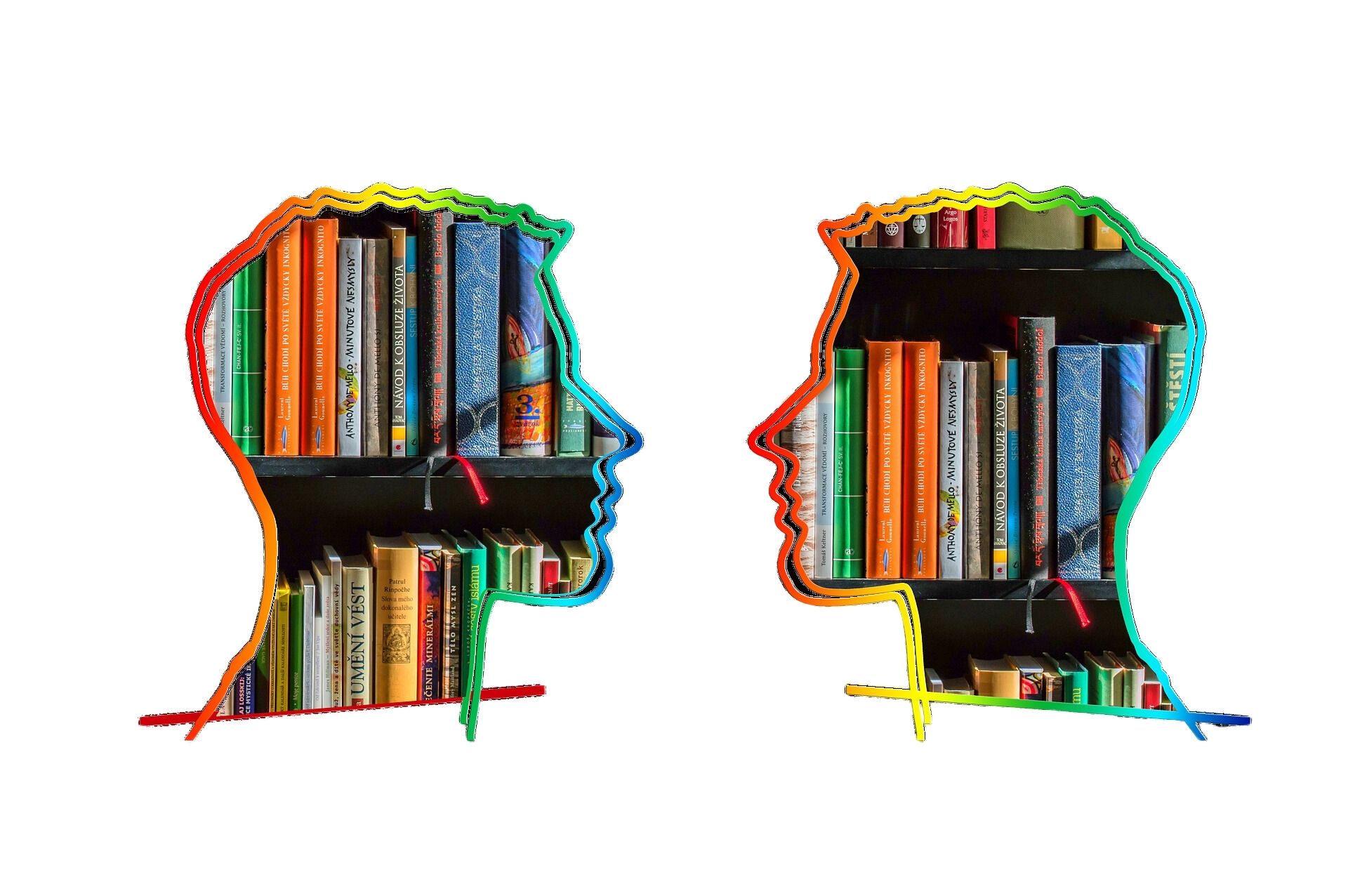 Silueta de dos cabezas que se miran frente a frente, de perfil. Las cabezas están rellenas de estanterías con libros.